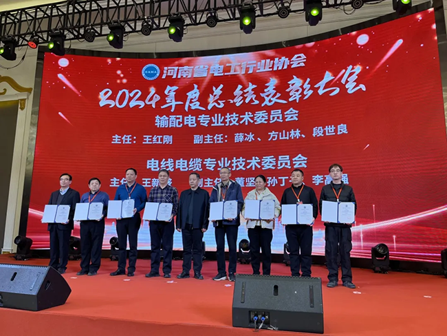 索凌電氣榮獲河南省電工行業(yè)雙優(yōu)稱號(hào)， 持續(xù)助力電力行業(yè)發(fā)展